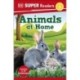 DK Super Readers Level 2 Animals at Home