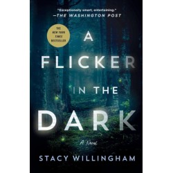 A Flicker in the Dark: A Novel