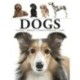 Dogs