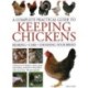 Keeping Chickens, Complete Practical Guide to: Rearing- Care- Choosing Your Breed: A directory of chickens, ducks, geese and turkeys, and how to keep them, with over 700 photographs