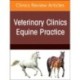 Equine Infectious Diseases, An Issue of Veterinary Clinics of North America: Equine Practice