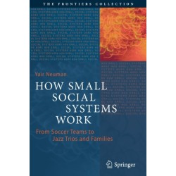 How Small Social Systems Work: From Soccer Teams to Jazz Trios and Families