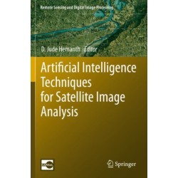 Artificial Intelligence Techniques for Satellite Image Analysis