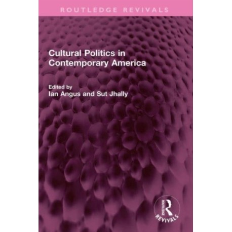 Cultural Politics in Contemporary America