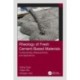 Rheology of Fresh Cement-Based Materials: Fundamentals, Measurements, and Applications