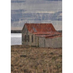 Sean Palfrey: Home: Home