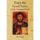 Enjoy the Good News: A New Testament Guide