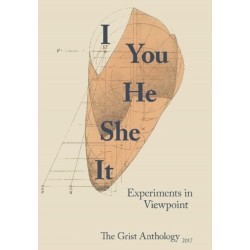 I You He She it: Experiments in Viewpoint
