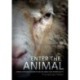 Enter the Animal: Cross-species Perspectives on Grief and Spirituality