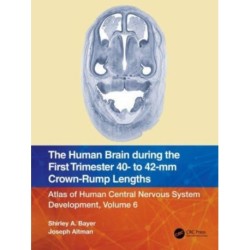 The Human Brain during the First Trimester 40- to 42-mm Crown-Rump Lengths: Atlas of Human Central Nervous System Development, Volume 6