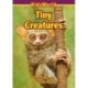 Tiny Creatures