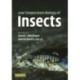 Low Temperature Biology of Insects