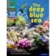 Read Write Inc. Phonics: The deep blue sea (Grey Set 7 NF Book Bag Book 8)