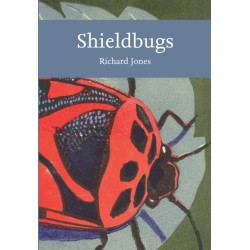 Shieldbugs