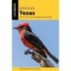 Birding Texas: Where, How, and When to Spot Birds across the State