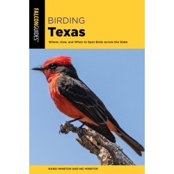 Birding Texas: Where, How, and When to Spot Birds across the State
