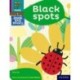 Read Write Inc. Phonics: Black spots (Purple Set 2 Book Bag Book 7)