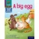 Read Write Inc. Phonics: A big egg (Purple Set 2 Book Bag Book 2)