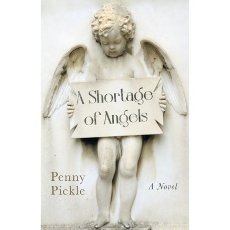 Shortage of Angels, A: A Novel