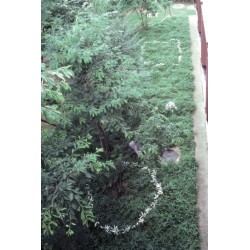 Kishio Suga: Writings, vol. II, 1980–1989