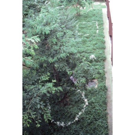 Kishio Suga: Writings, vol. II, 1980–1989