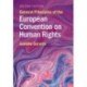 General Principles of the European Convention on Human Rights