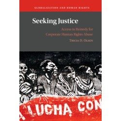 Seeking Justice: Access to Remedy for Corporate Human Rights Abuse