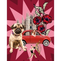 Mamma Milano: Lessons from the Motherland