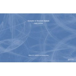 Examples in Structural Analysis