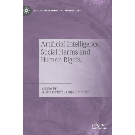 Artificial Intelligence, Social Harms and Human Rights