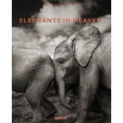 Elephants in Heaven