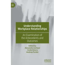 Understanding Workplace Relationships: An Examination of the Antecedents and Outcomes