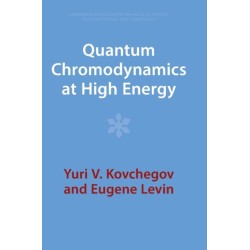 Quantum Chromodynamics at High Energy