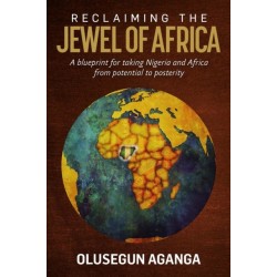 Reclaiming the Jewel of Africa: A blueprint for taking Nigeria and Africa from potential to posterity
