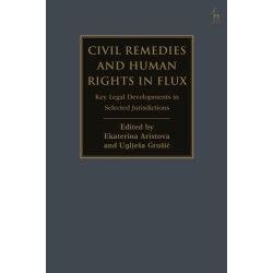 Civil Remedies and Human Rights in Flux: Key Legal Developments in Selected Jurisdictions