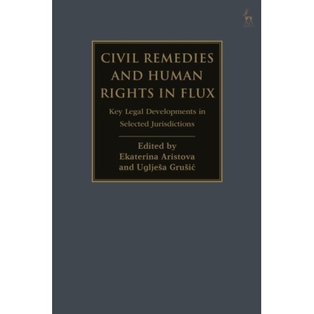 Civil Remedies and Human Rights in Flux: Key Legal Developments in Selected Jurisdictions