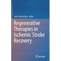 Regenerative Therapies in Ischemic Stroke Recovery