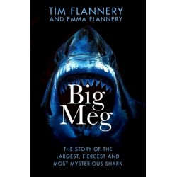 Big Meg: The Story of the Largest, Fiercest and Most Mysterious Shark