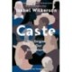 Caste (Adapted for Young Adults): The Origins of Our Discontents: Adapted Young Readers