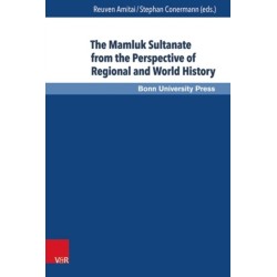 The Mamluk Sultanate from the Perspective of Regional and World History: Economic, Social and Cultural Development in an Era of Increasing International Interaction and Competition