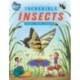 Incredible Insects
