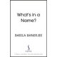 What's in a Name?: Friendship, Identity and History in Modern Multicultural Britain: A New Statesman Book of the Year