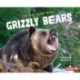 On the Hunt with Grizzly Bears