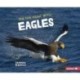 On the Hunt with Eagles