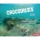 On the Hunt with Crocodiles