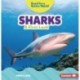 Sharks: A First Look