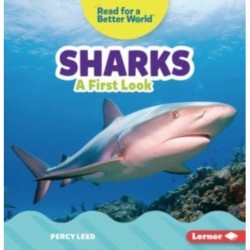 Sharks: A First Look
