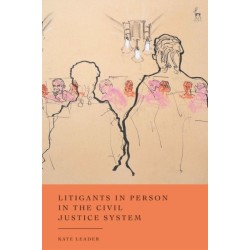 Litigants in Person in the Civil Justice System: In Their Own Words