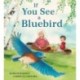 If You See a Bluebird