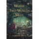Where Two Worlds Meet